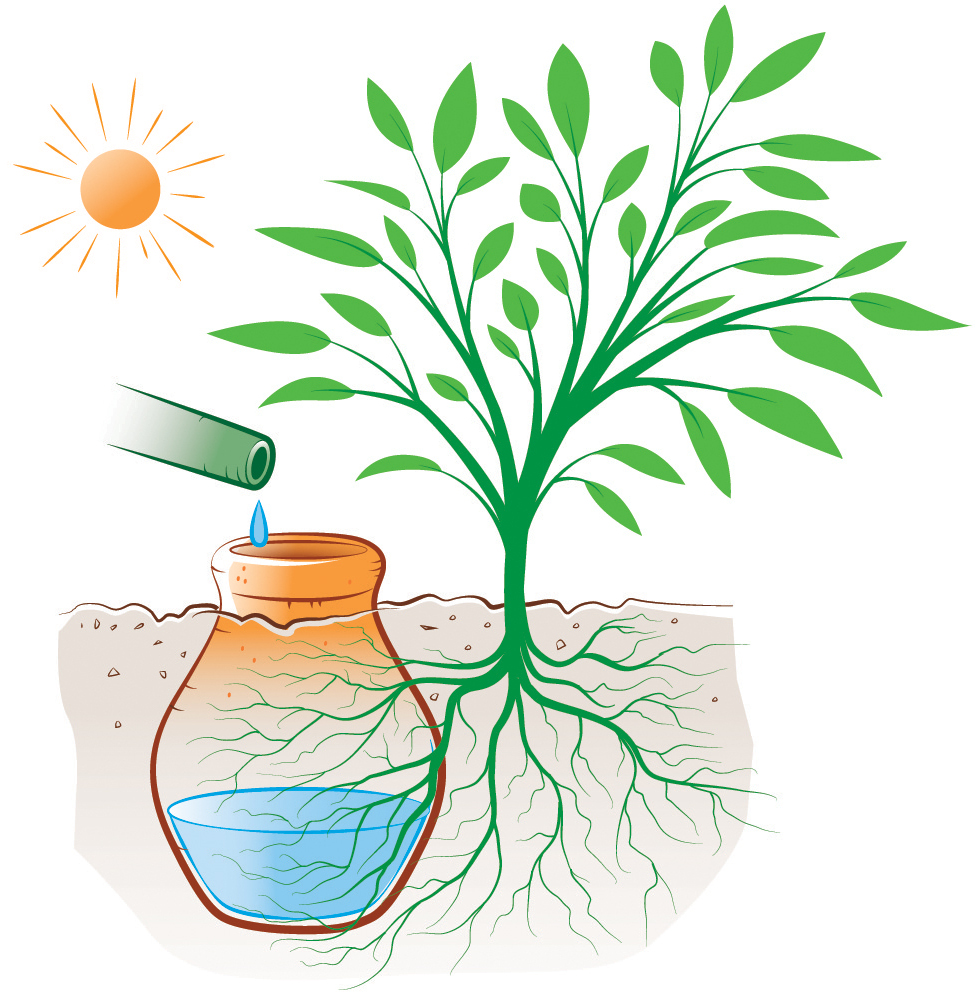 jarres d arrosage autonome