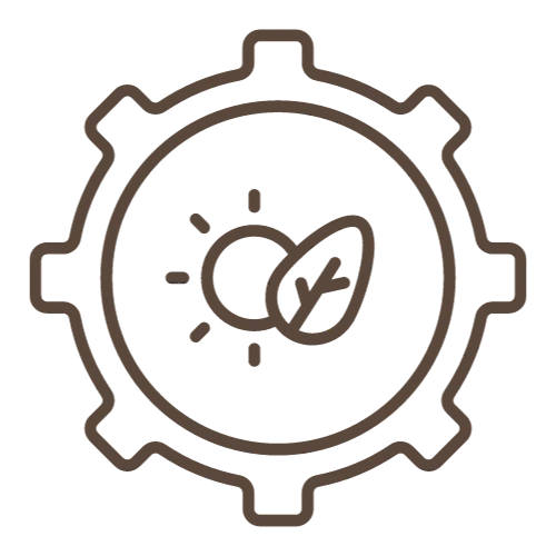 Intelligence collective chez Oyas