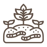 Avec Oyas un sol vivant et fertile pour vos plantes