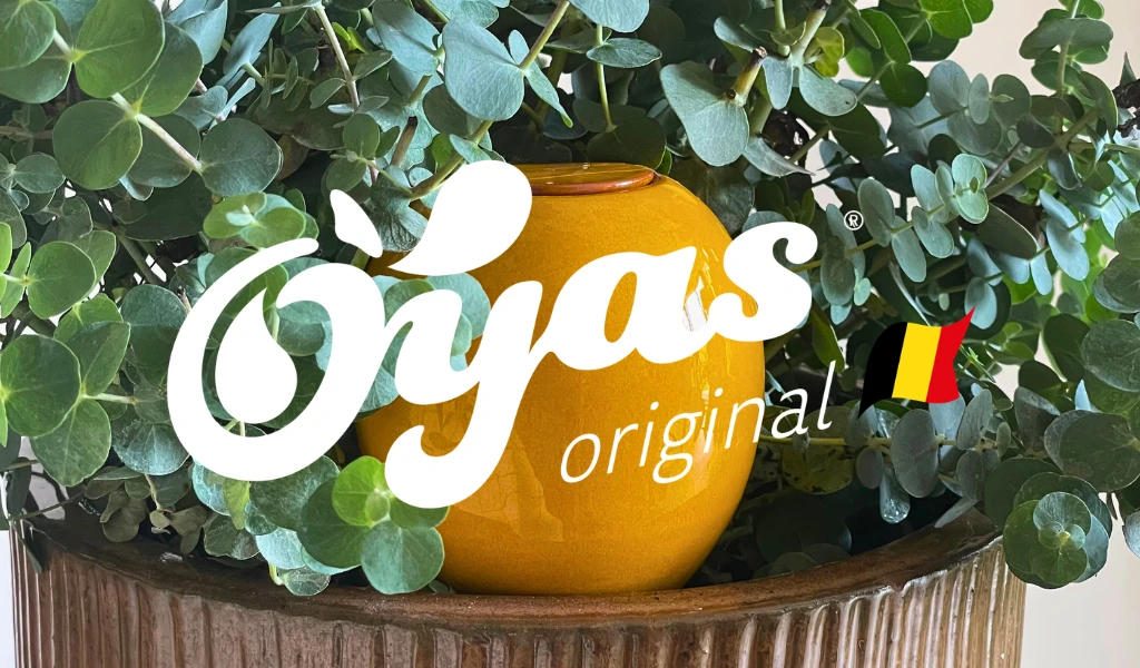 Oyas België