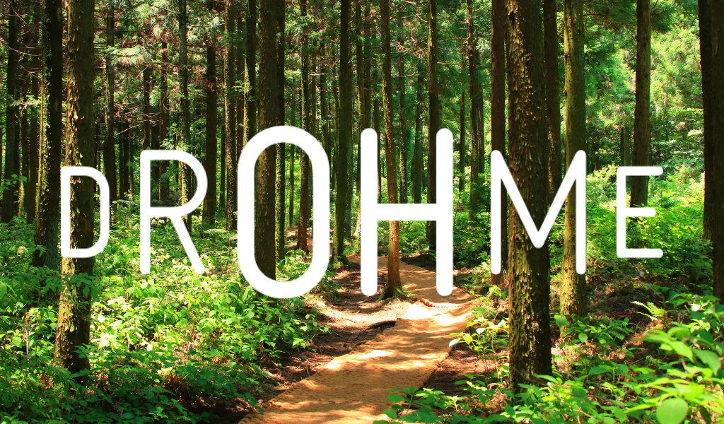 Drohme