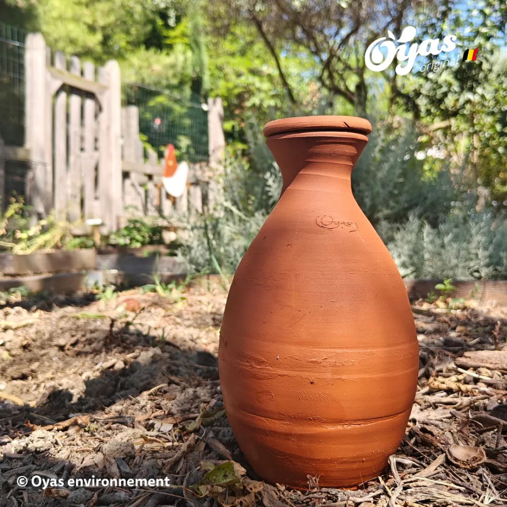 AEM - situation.webp