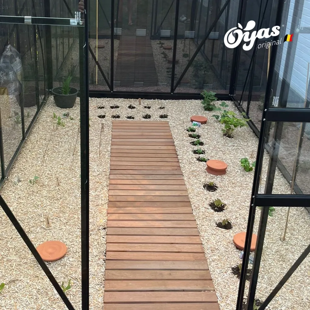 Potager AEL (2).webp