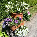 Pot à Fraisier