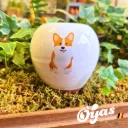 Oyas® to plant - Small Decor
