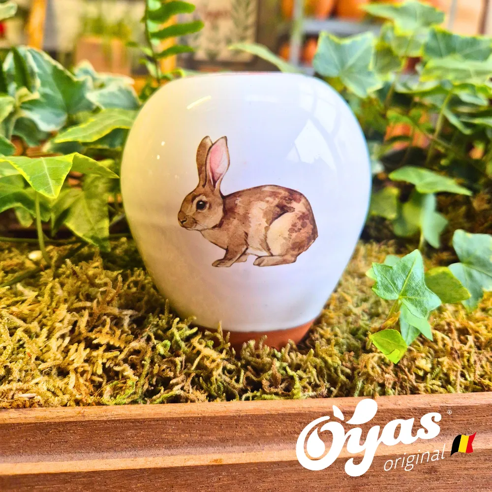 Oyas® to plant - Small Decor