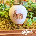 Oyas® to plant - Small Decor