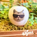 Oyas® to plant - Small Decor