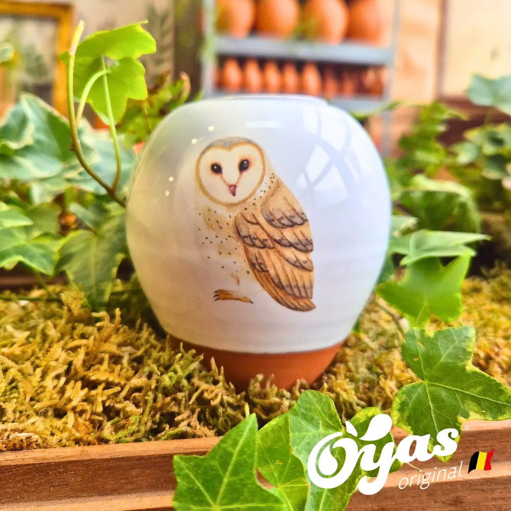 Oyas® to plant - Small Decor