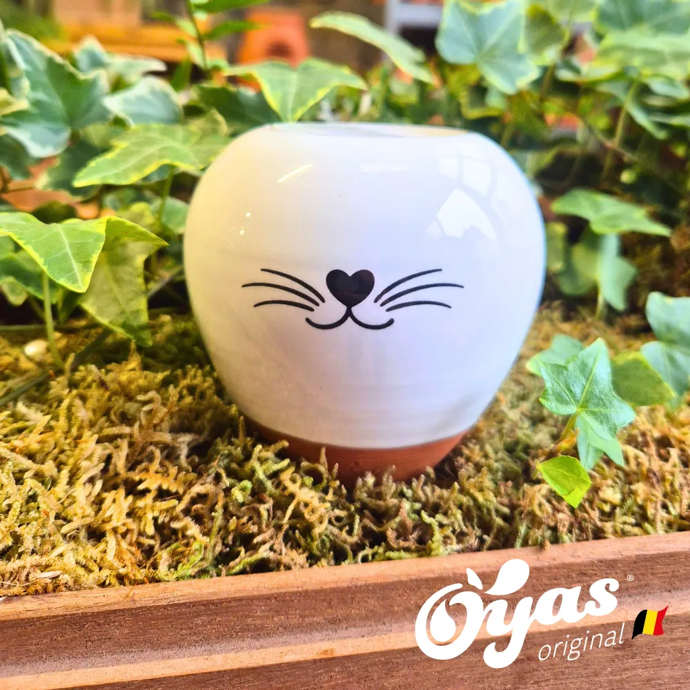 Oyas® à planter - Small Décorés