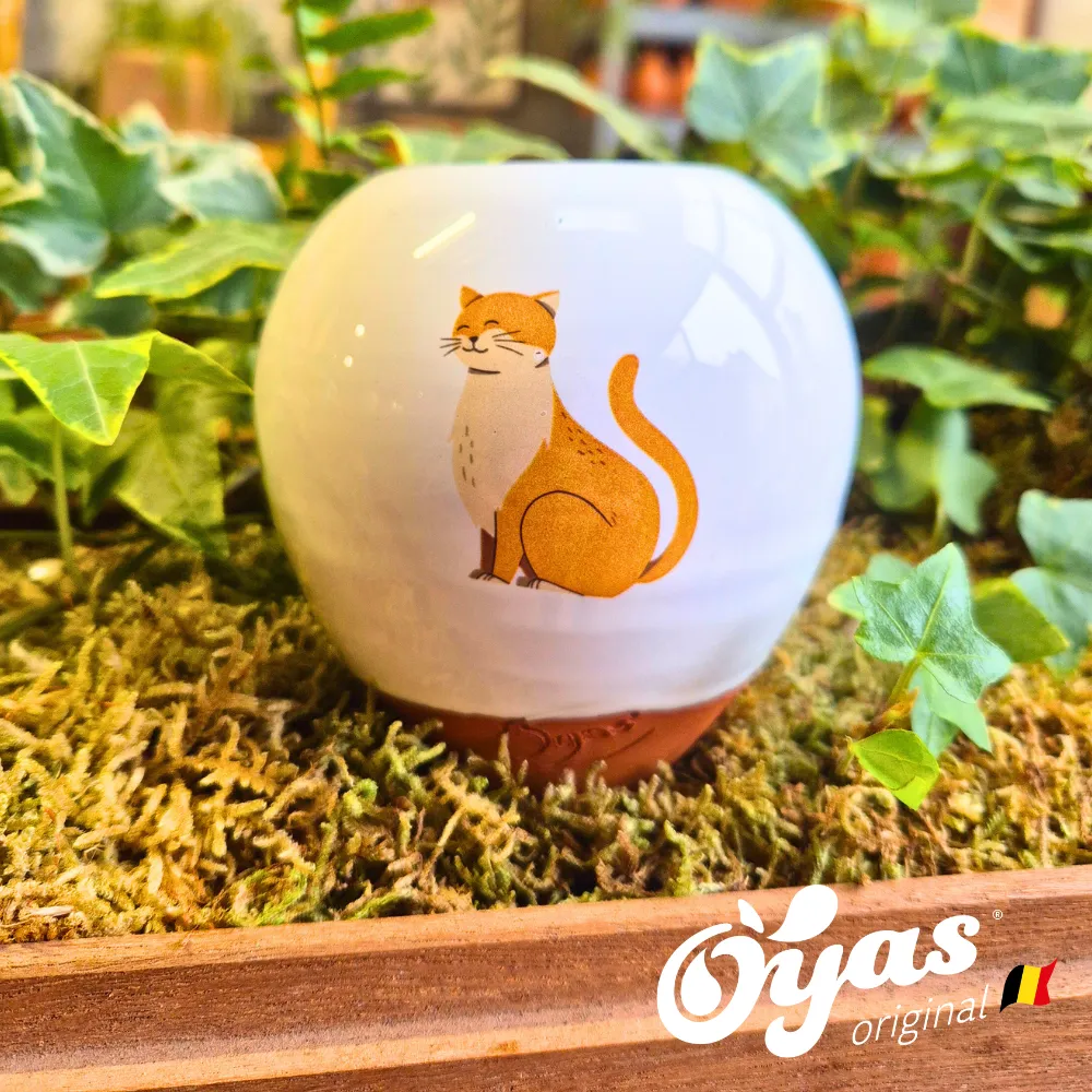 Oyas® à planter - Small Décorés