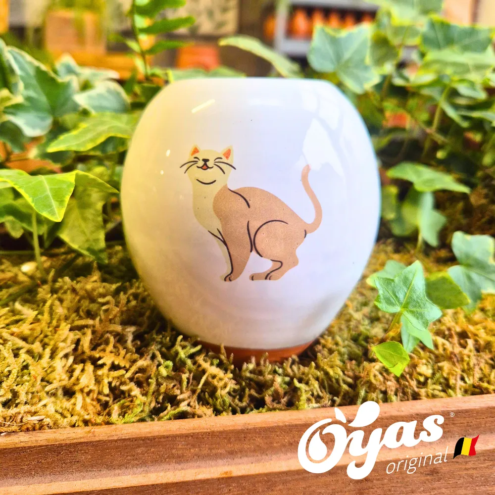 Oyas® to plant - Small Decor