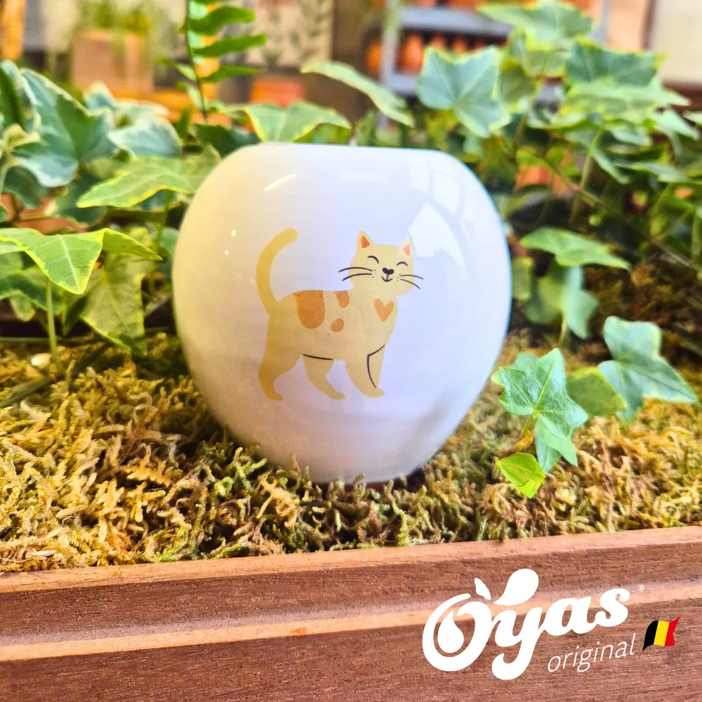 Oyas® à planter - Small Décorés