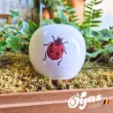 Oyas® à planter - Small Décorés