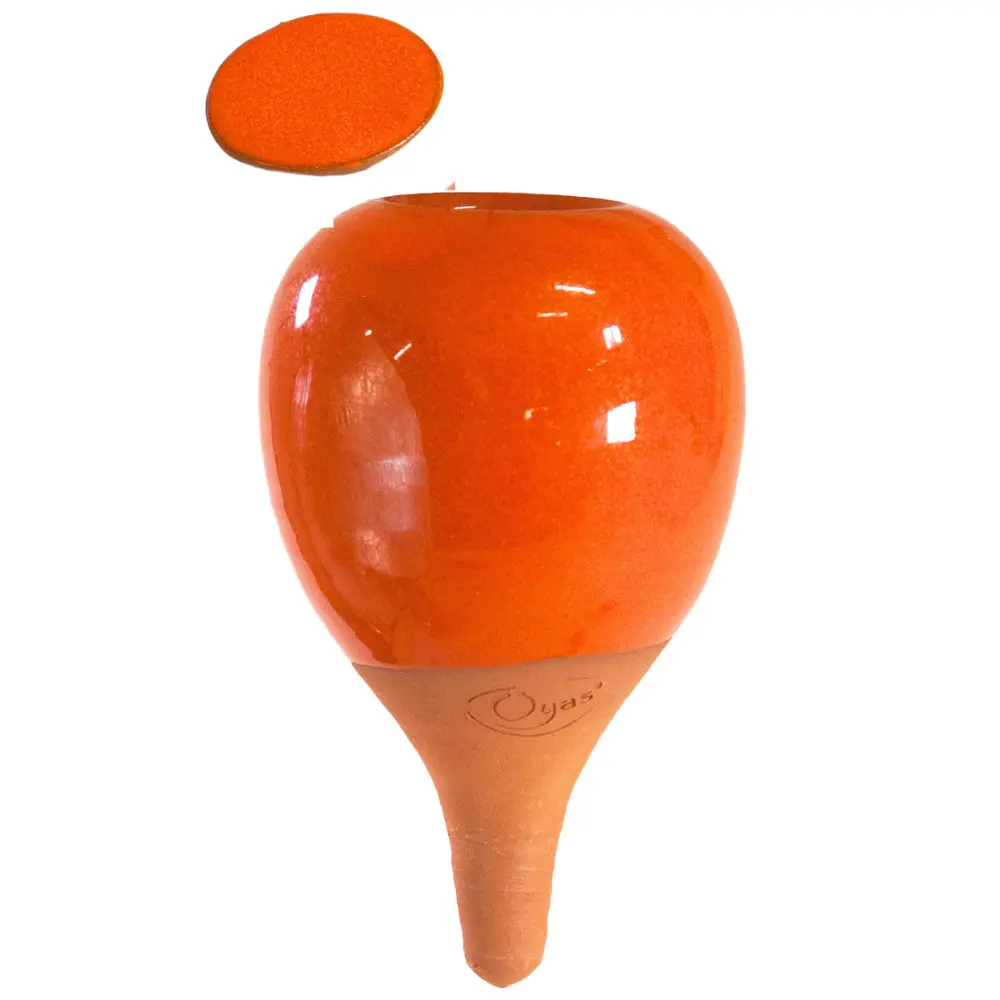 Oyas® to plant - Small Colors