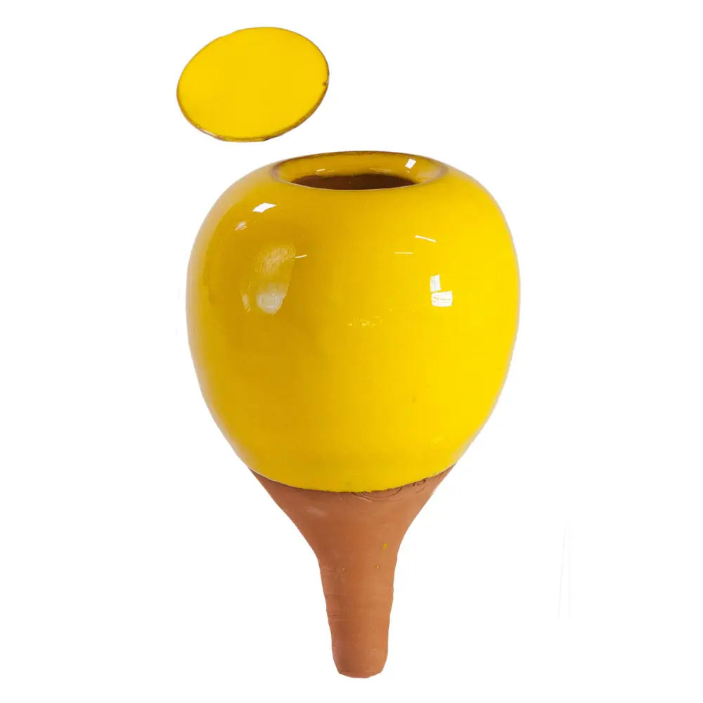 Oyas® à planter - Small Couleurs
