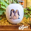 Oyas® to plant - Small Decor