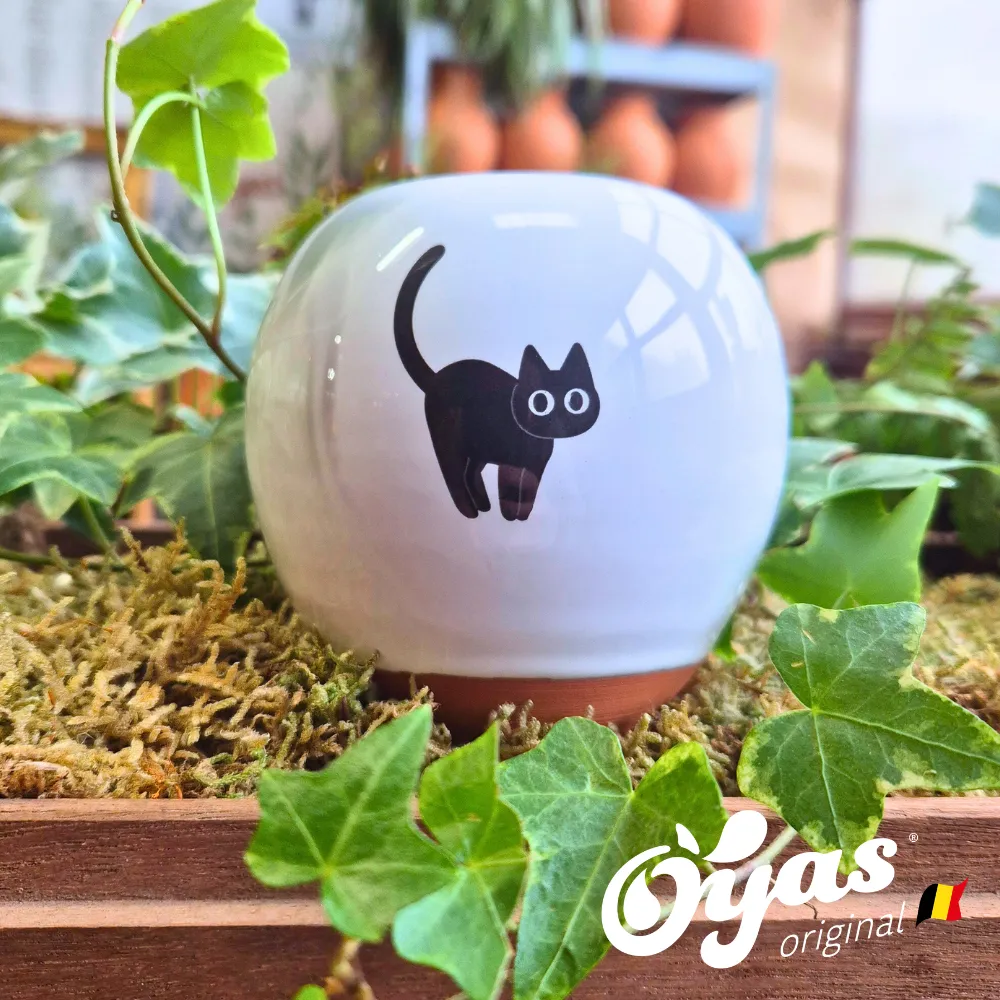 Oyas® à planter - Small Décorés