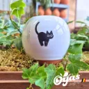 Oyas® à planter - Small Décorés