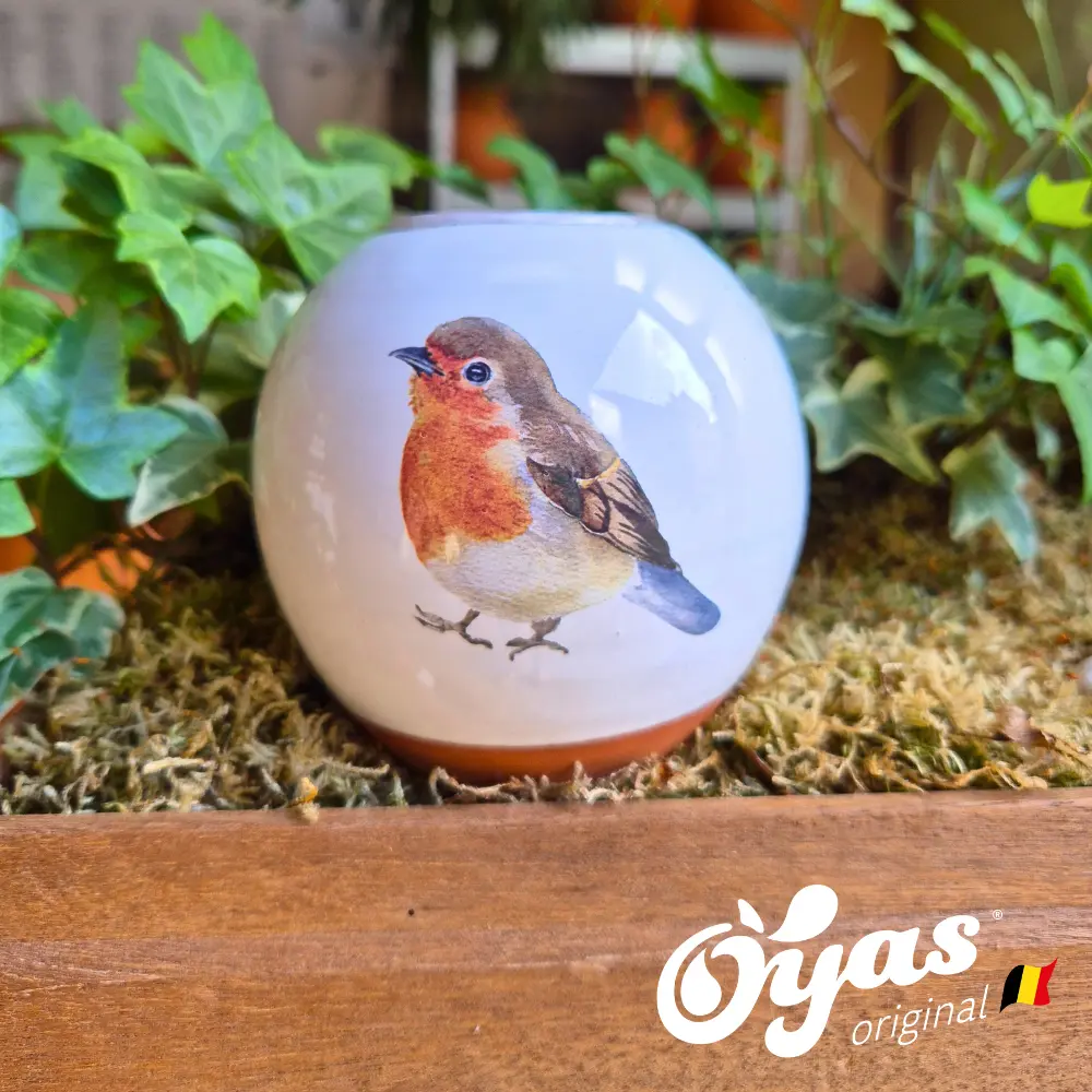 Oyas® à planter - Small Décorés (Rouge Gorge)