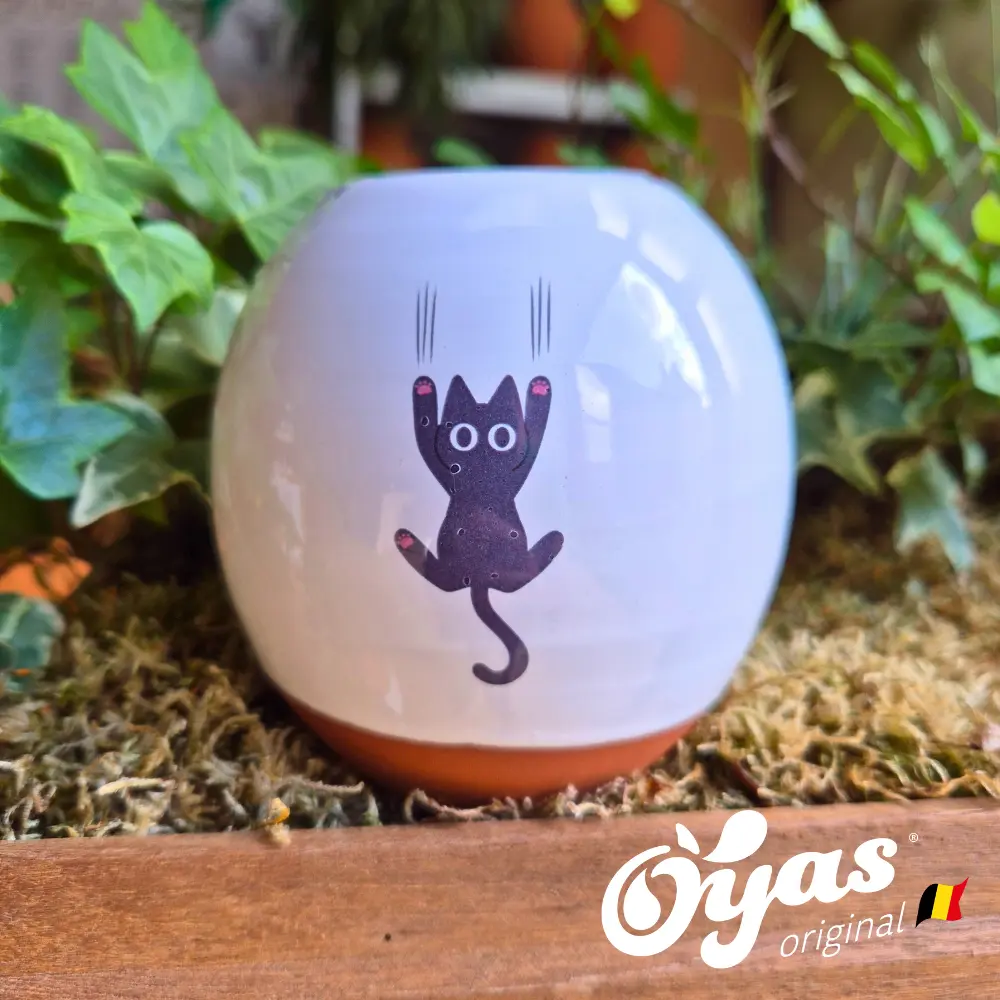 Oyas® à planter - Small Décorés