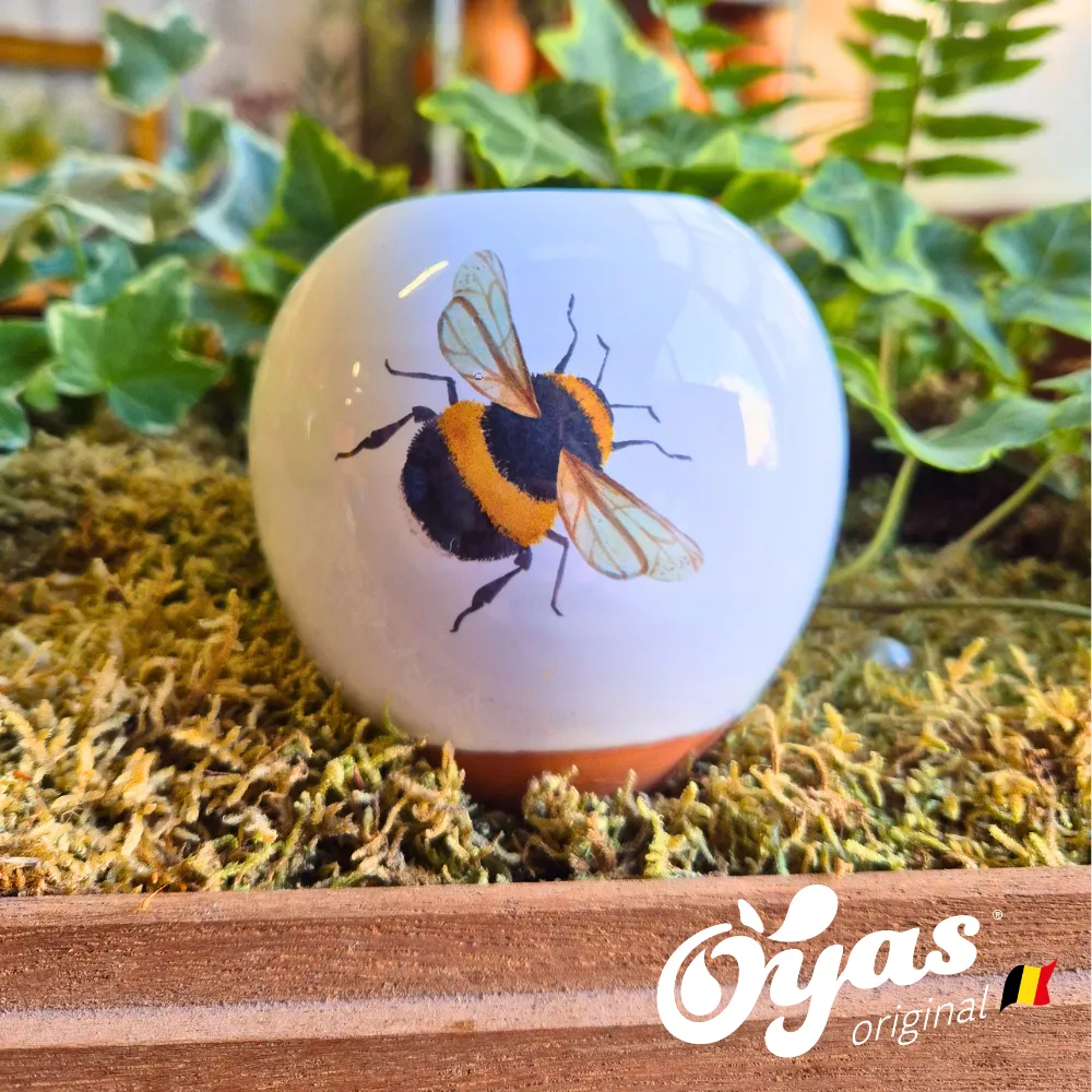 Oyas® à planter - Small Décorés