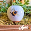 Oyas® à planter - Small Décorés